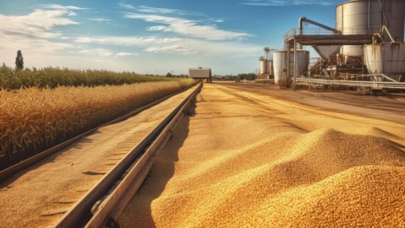 Як небулізація за допомогою «Пірігрен 50, ХТ» забезпечує захист зернової культури від шкідників